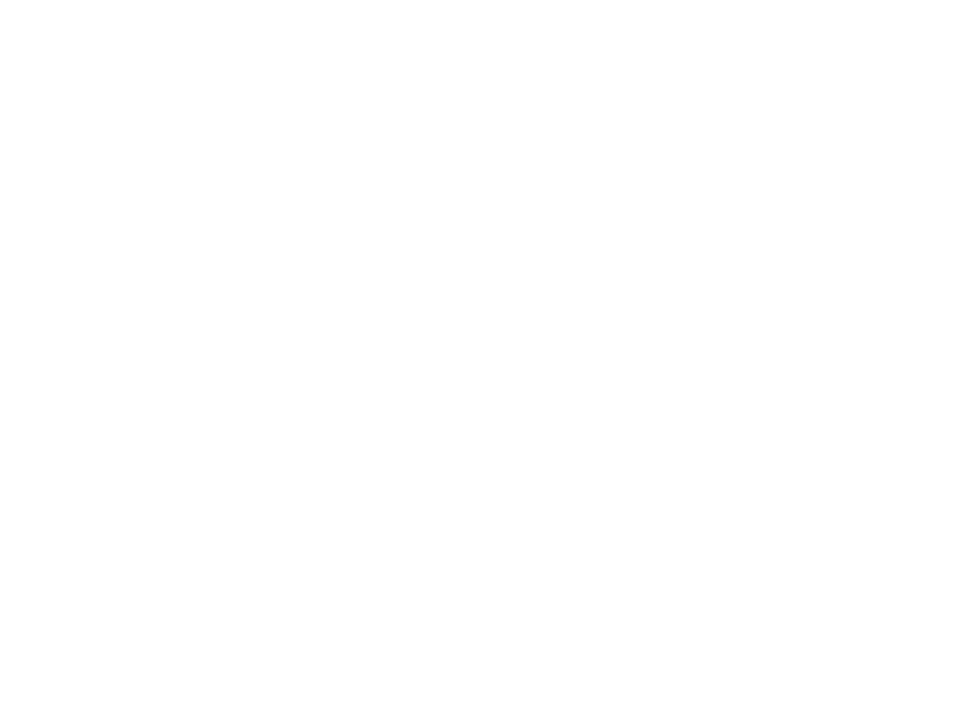 Tasman Group